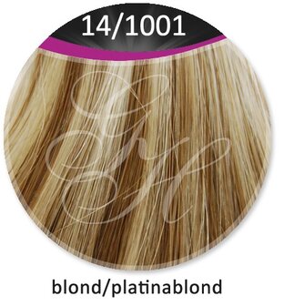 Great Hair extensions/40 cm stijl KL: 14/1001 - blond &amp; platinablond