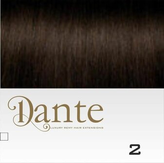 DS Full Head Clips In 42 cm Natural Straight #2 Donker Bruin