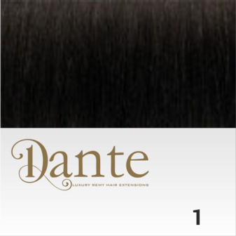 DS Full Head Clips In 50 cm Natural Straight #1 Zwart