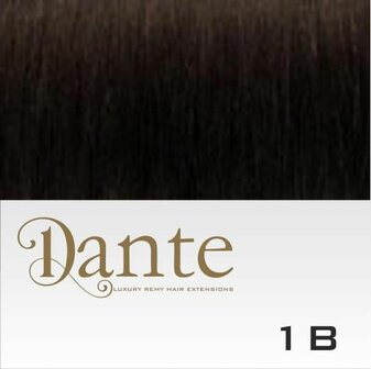 DS Full Head Clips In 50 cm Natural Straight #1B Zwart Bruin