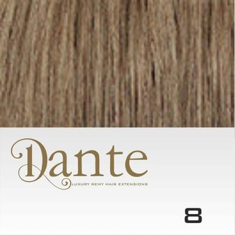 Dante Full Head Clips In LIGHT 42 cm Natural Straight kleur 8