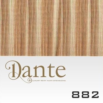 Dante Full Head Clips In LIGHT 42 cm Natural Straight kleur 882